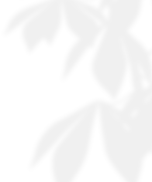 Shadowjh